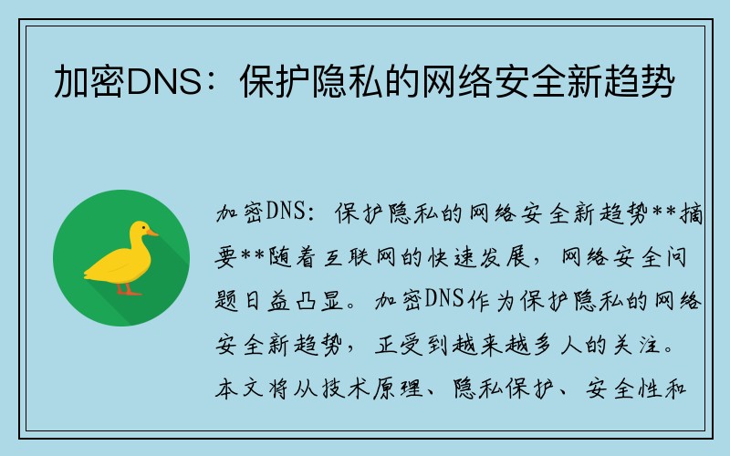 加密DNS：保护隐私的网络安全新趋势