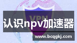 认识npv加速器